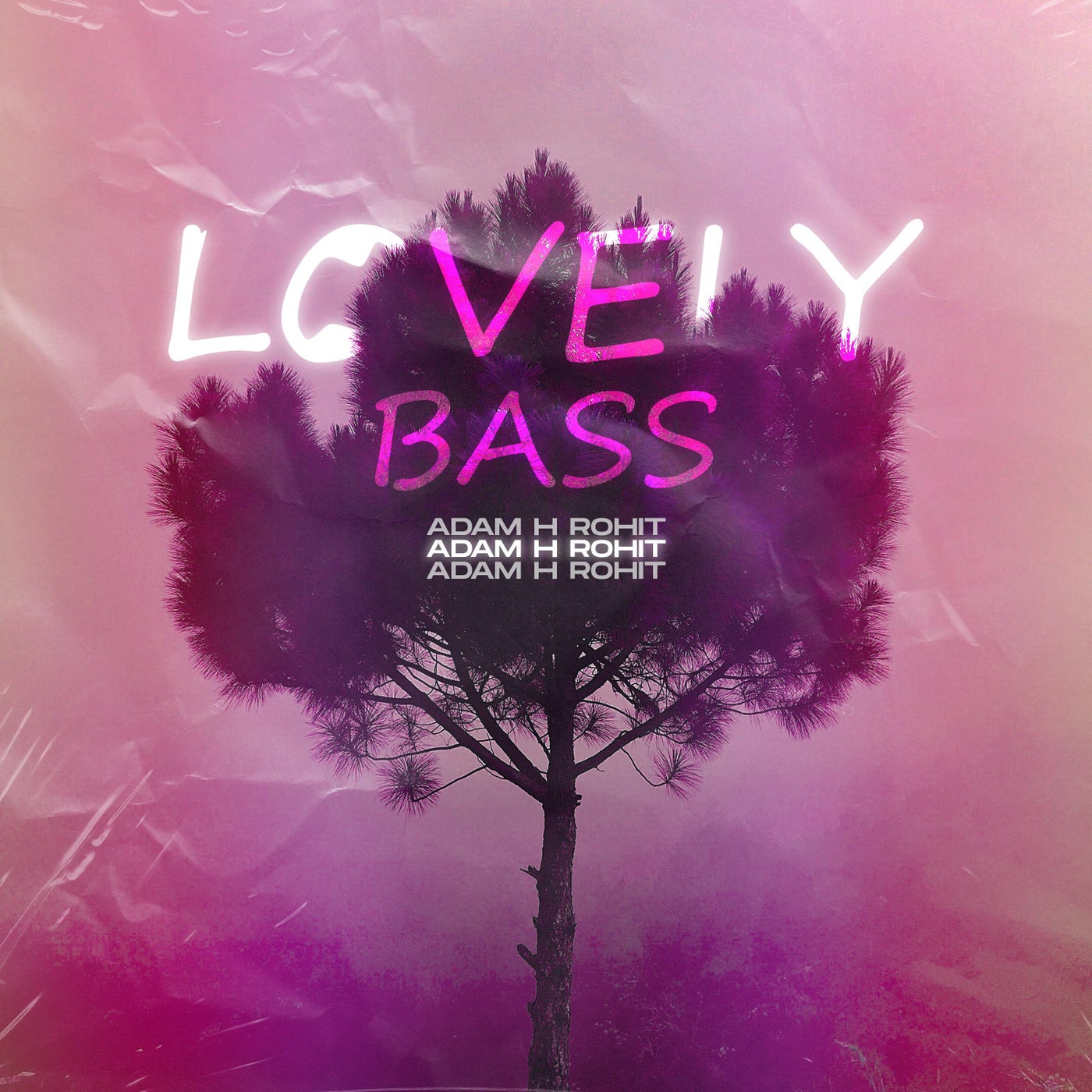 Lovely Bass