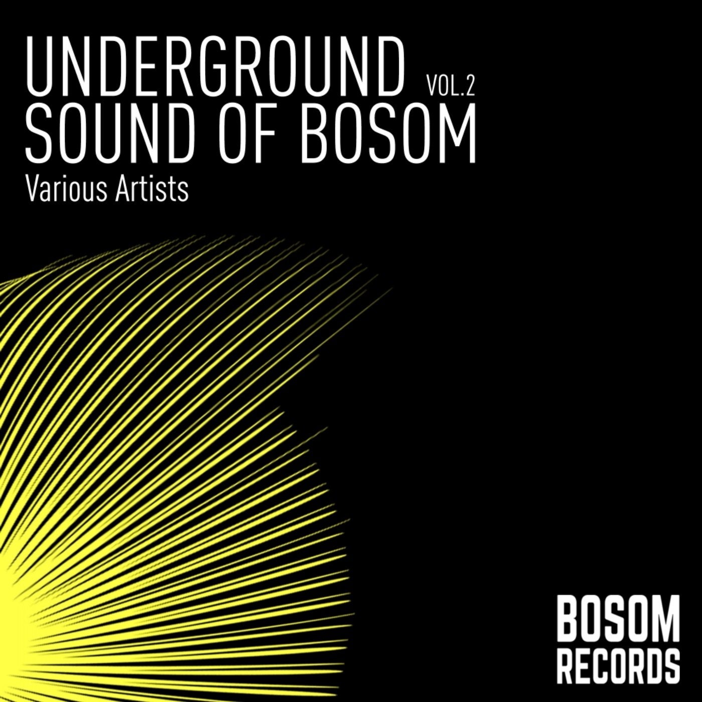 Underground Sound Of Bosom, Vol. 2