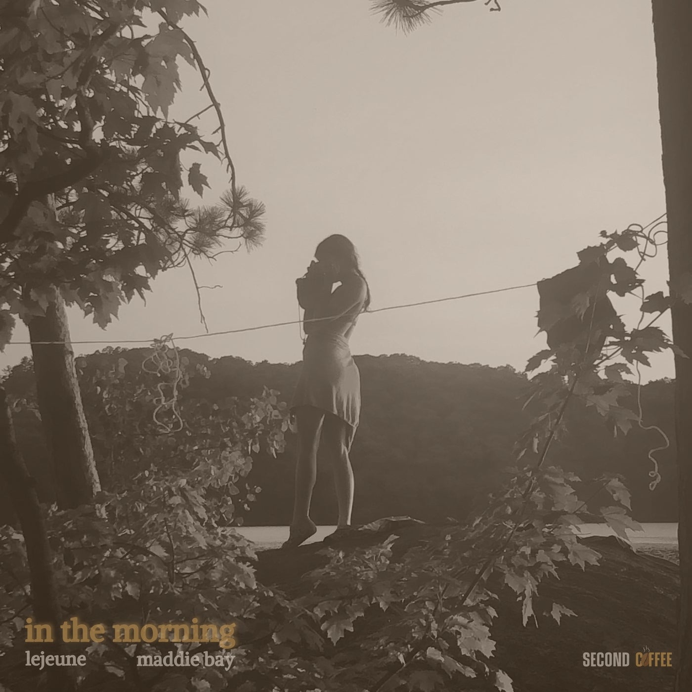 In the Morning