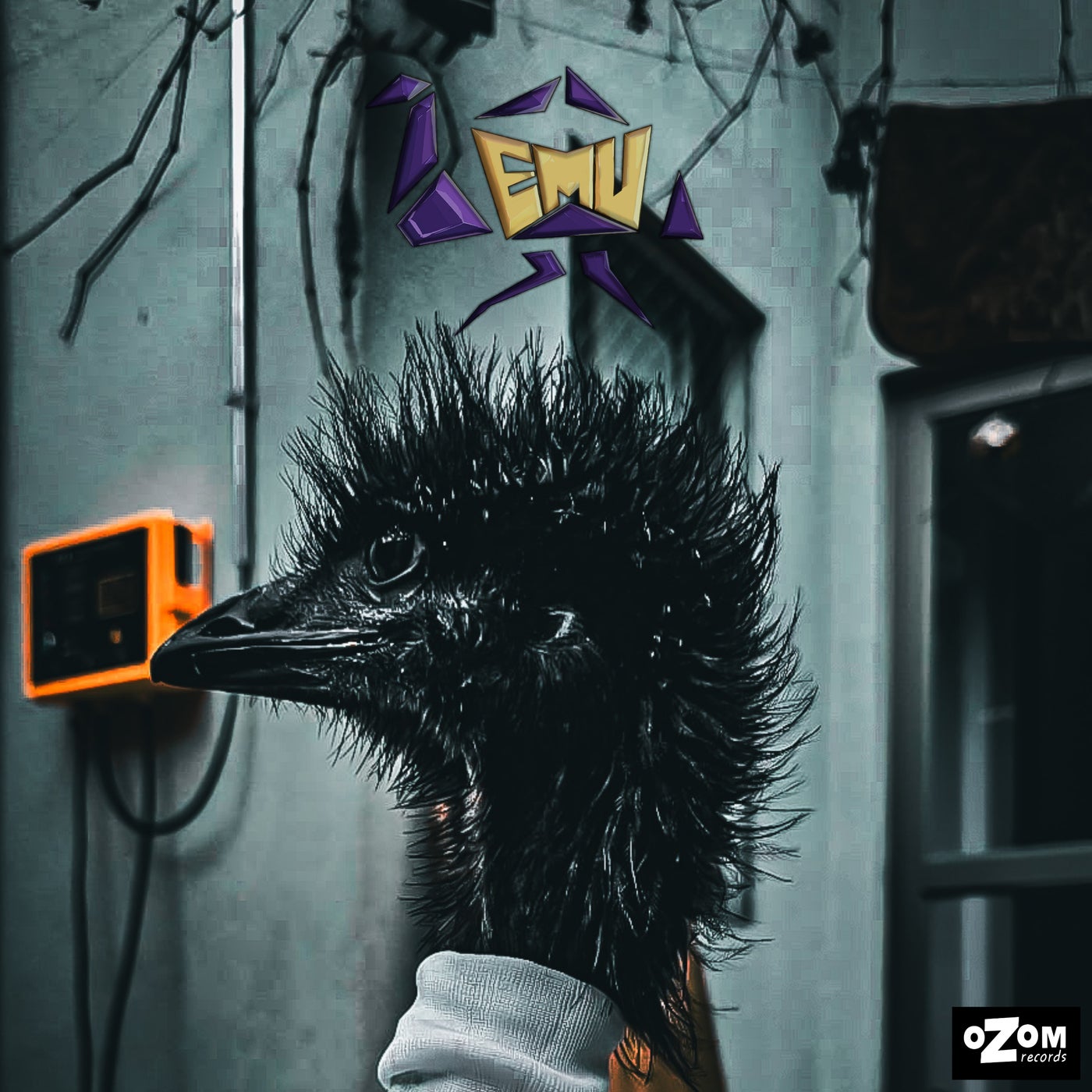 Emu