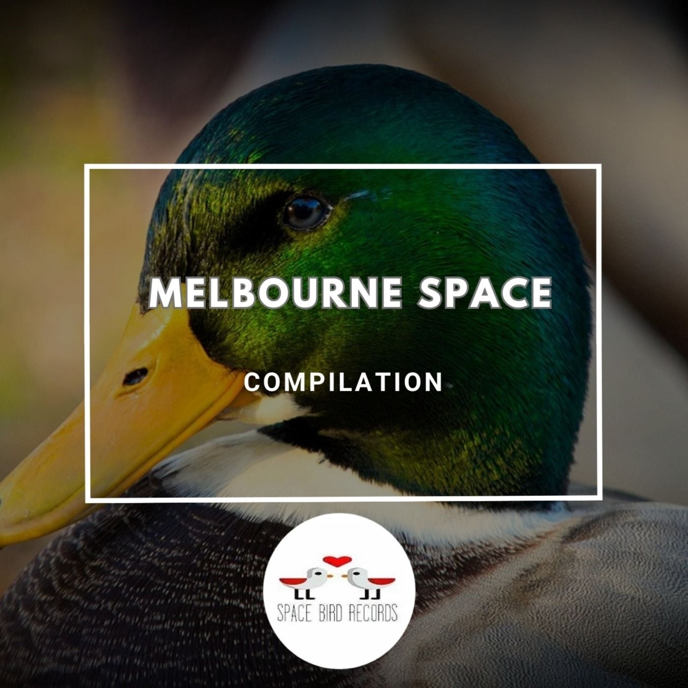 Melbourne Space