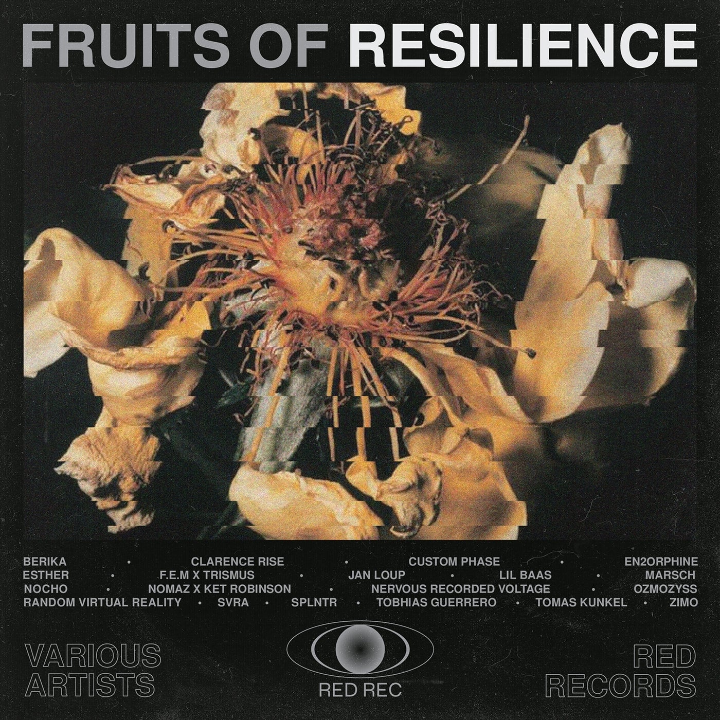 Fruits of Resilience