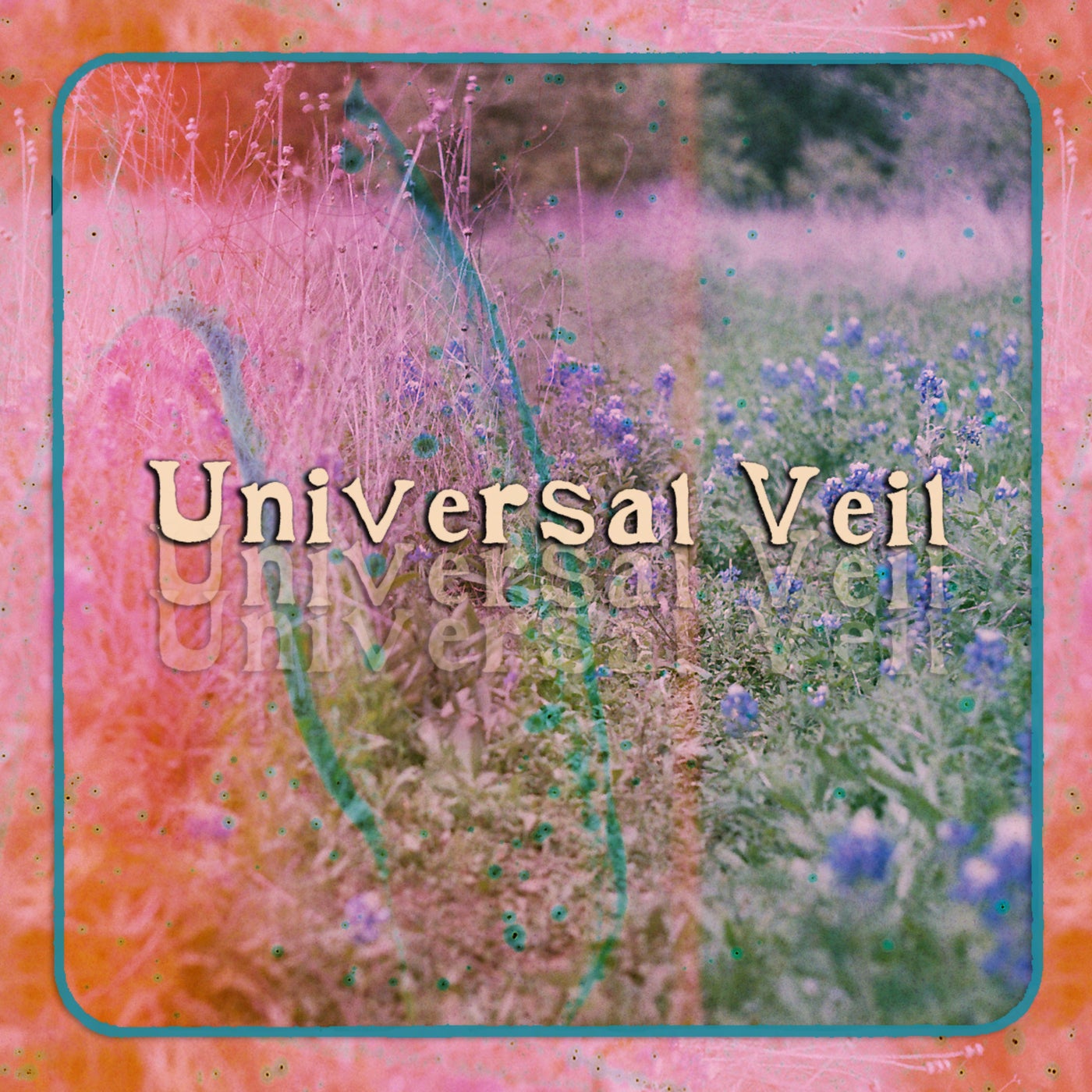 Universal Veil