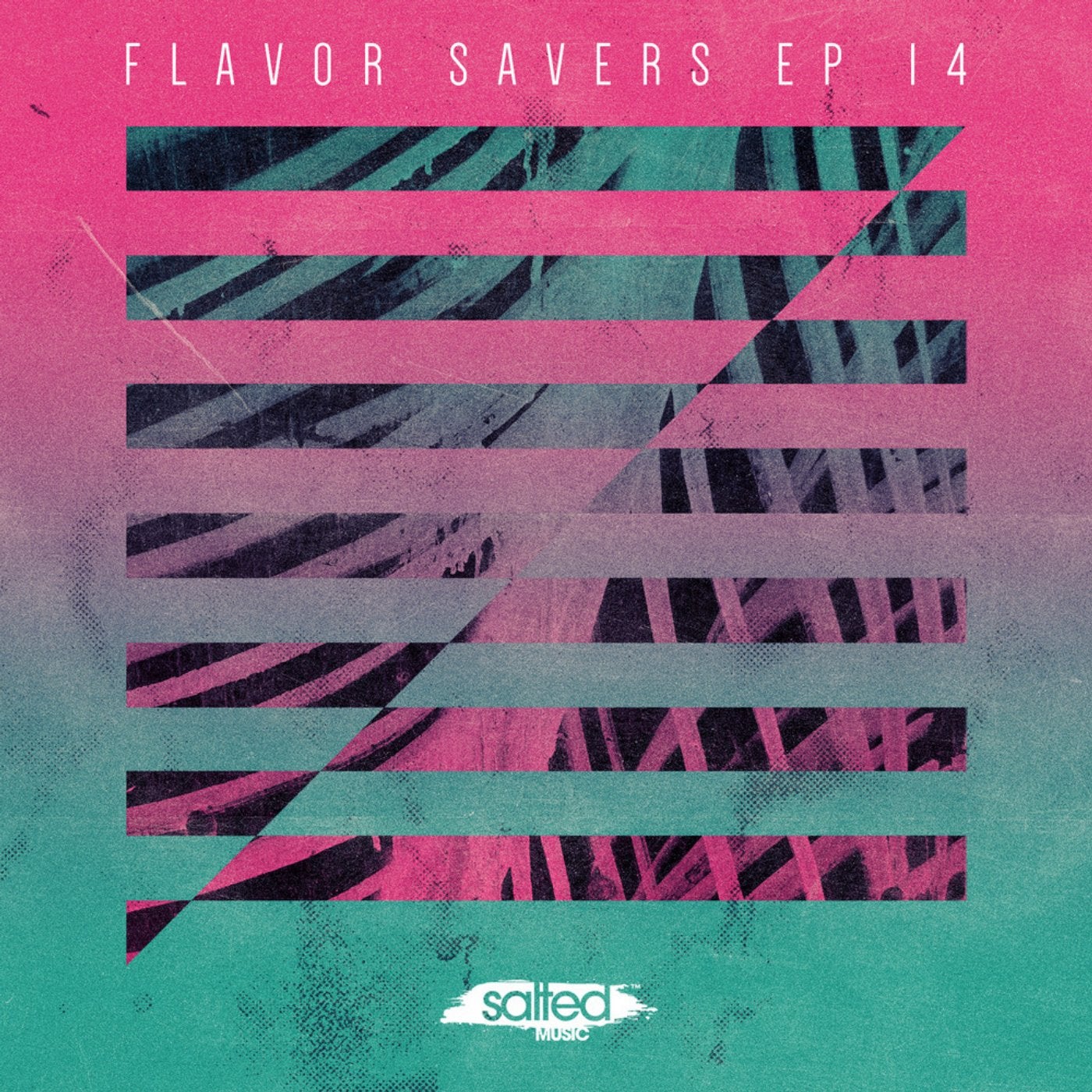 The Flavor Saver Vol. 14