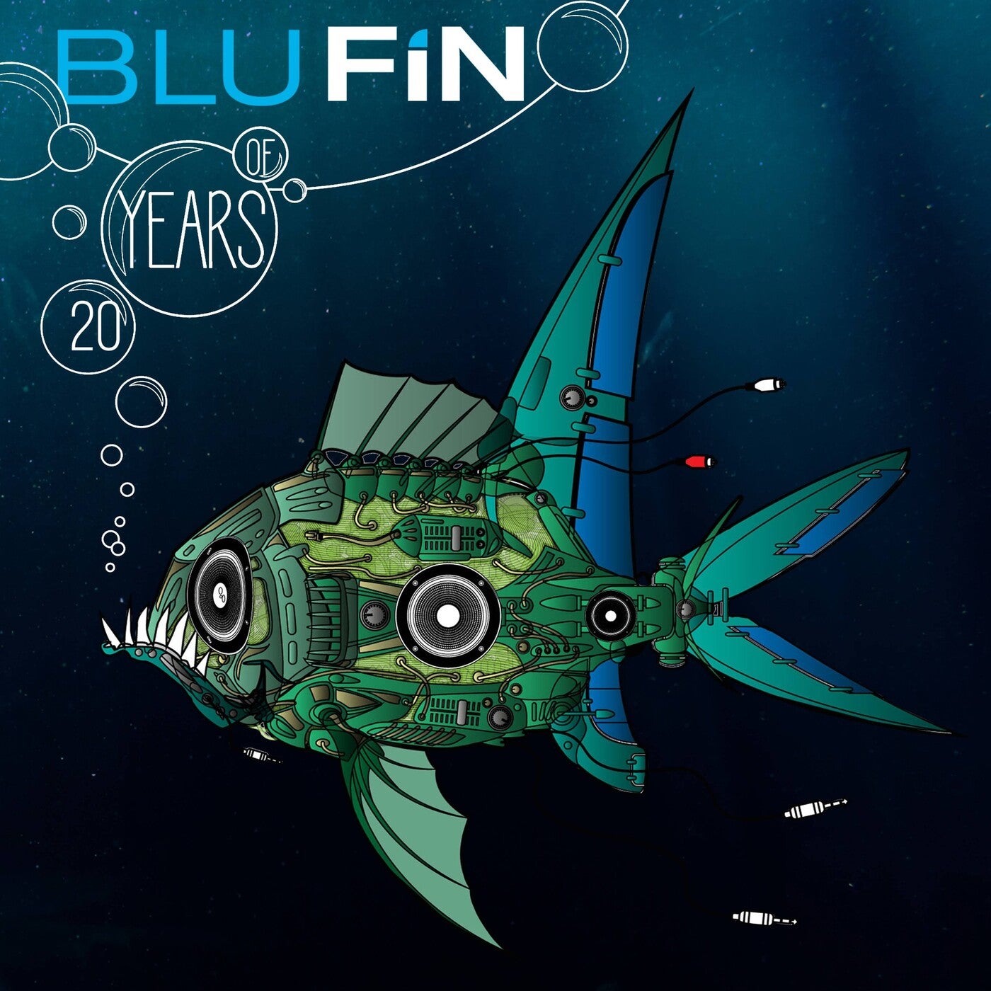 20 Years of Blufin