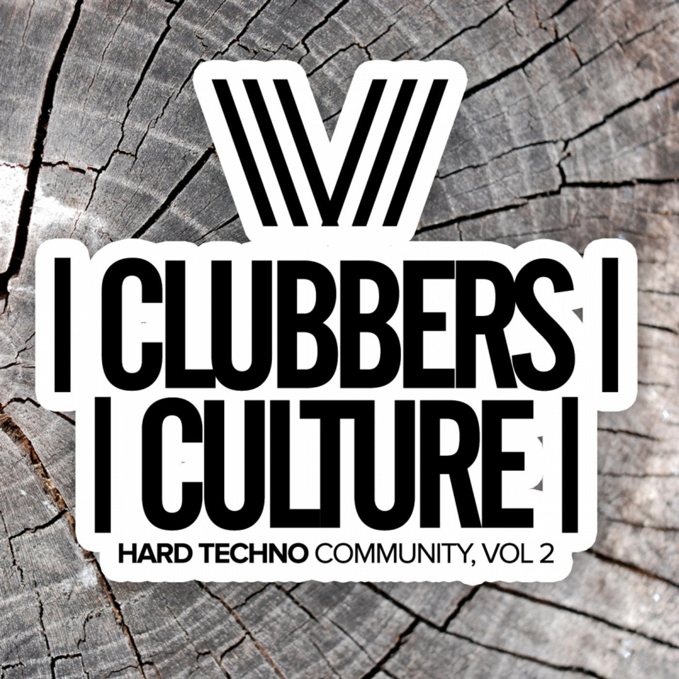 Clubbers Culture: Hard Techno Community, Vol.2