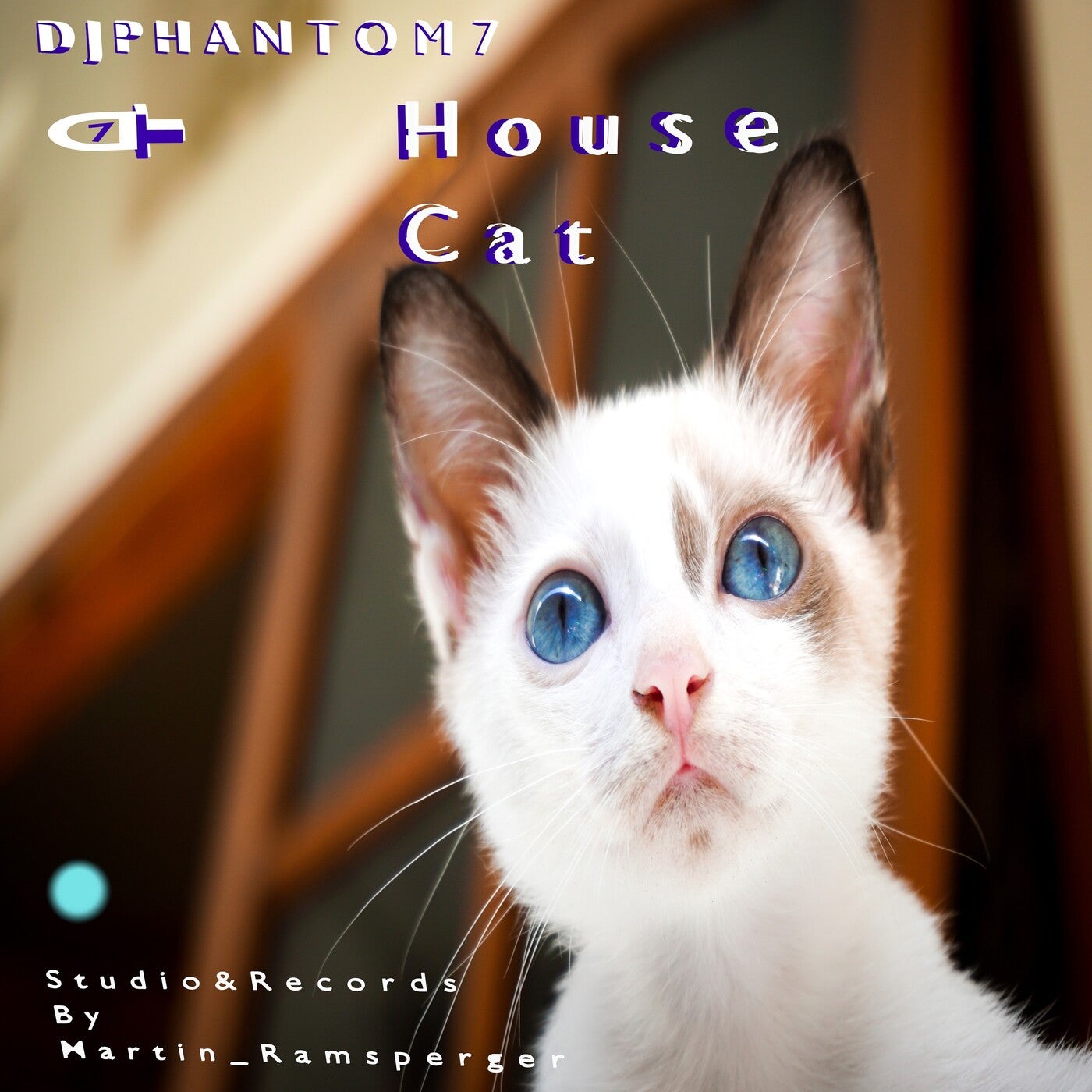 House Cat