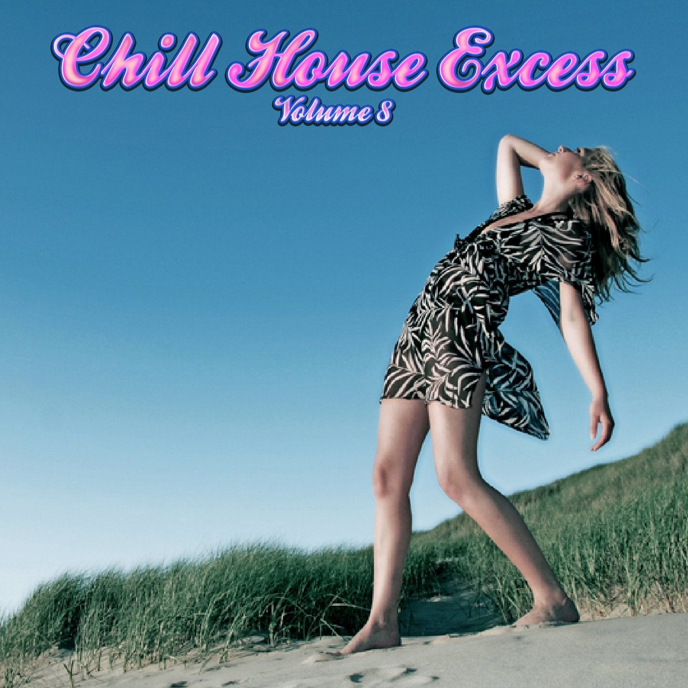 Chill House Excess, Vol.8 (Best Selection of Lounge & Chill House Tracks)
