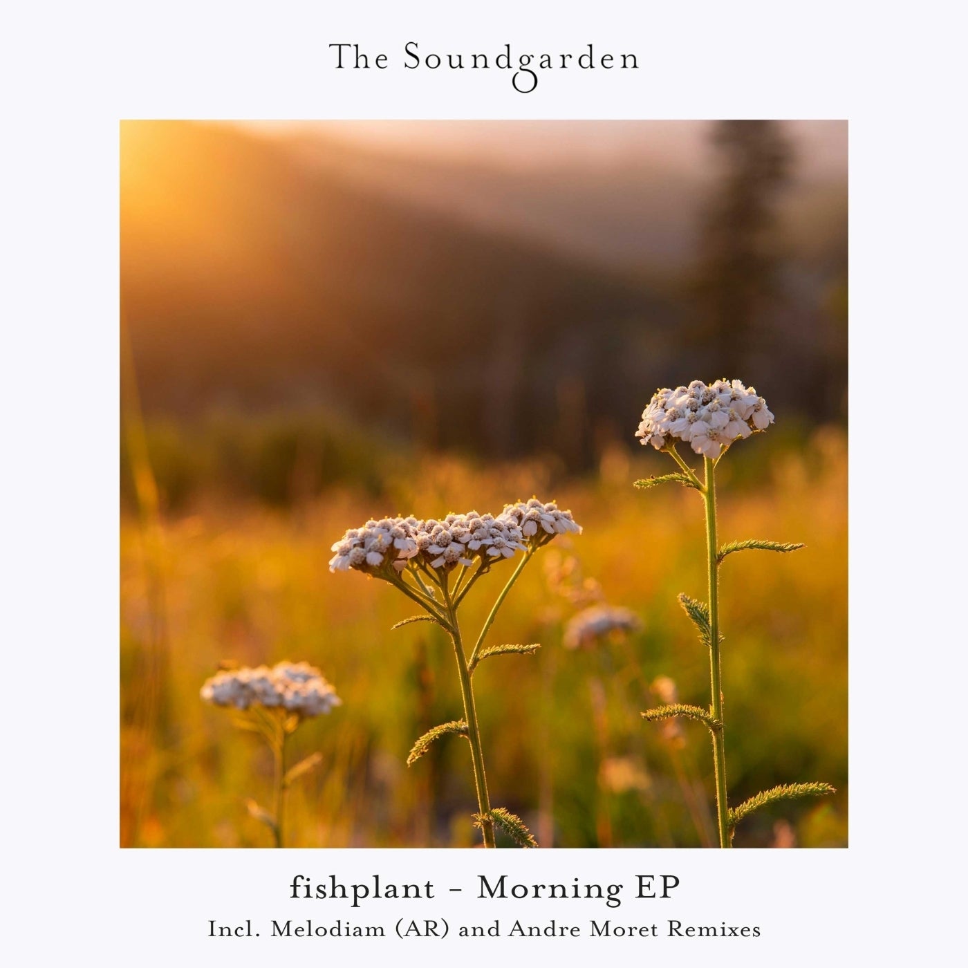 Morning EP
