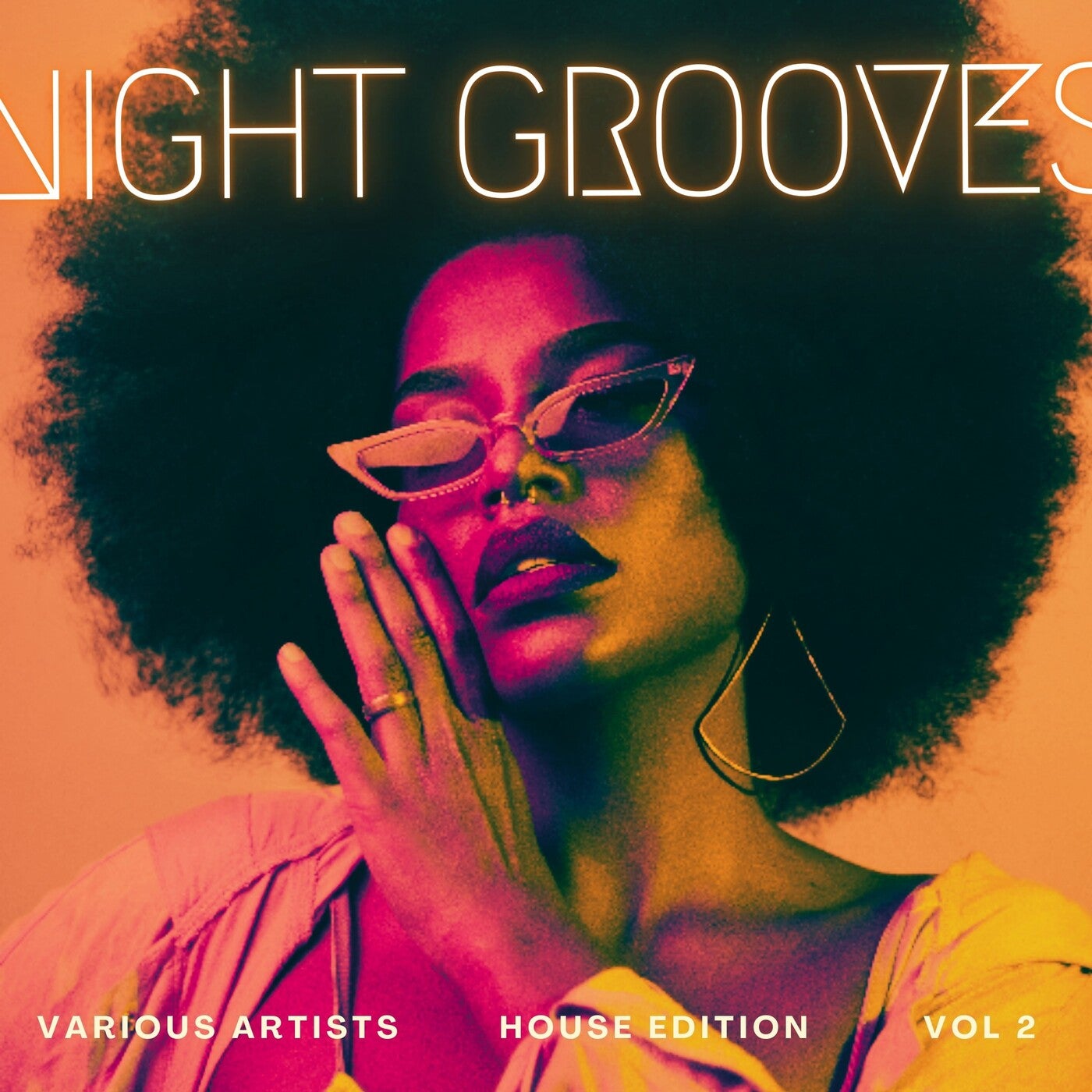 Night Grooves (House Edition), Vol. 2