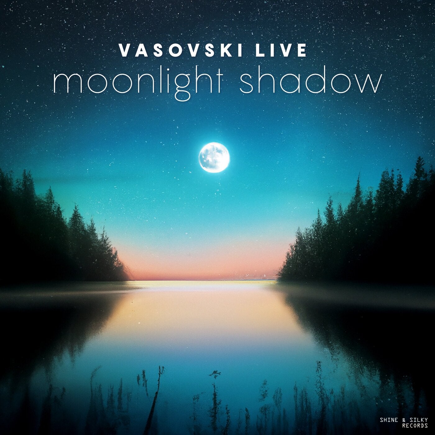 Moonlight shadow текст. Майк Олдфилд Мунлайт Шедоу. Mike Vasovski. Moonlit Shadow Reverb. Houdini Vasovski Live.