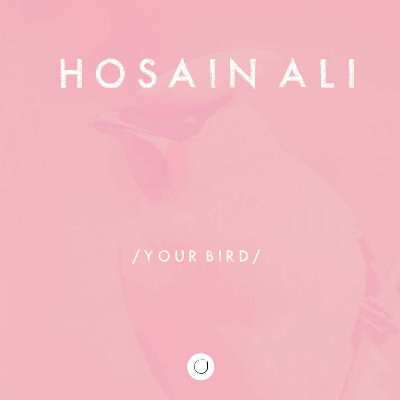 Your Bird