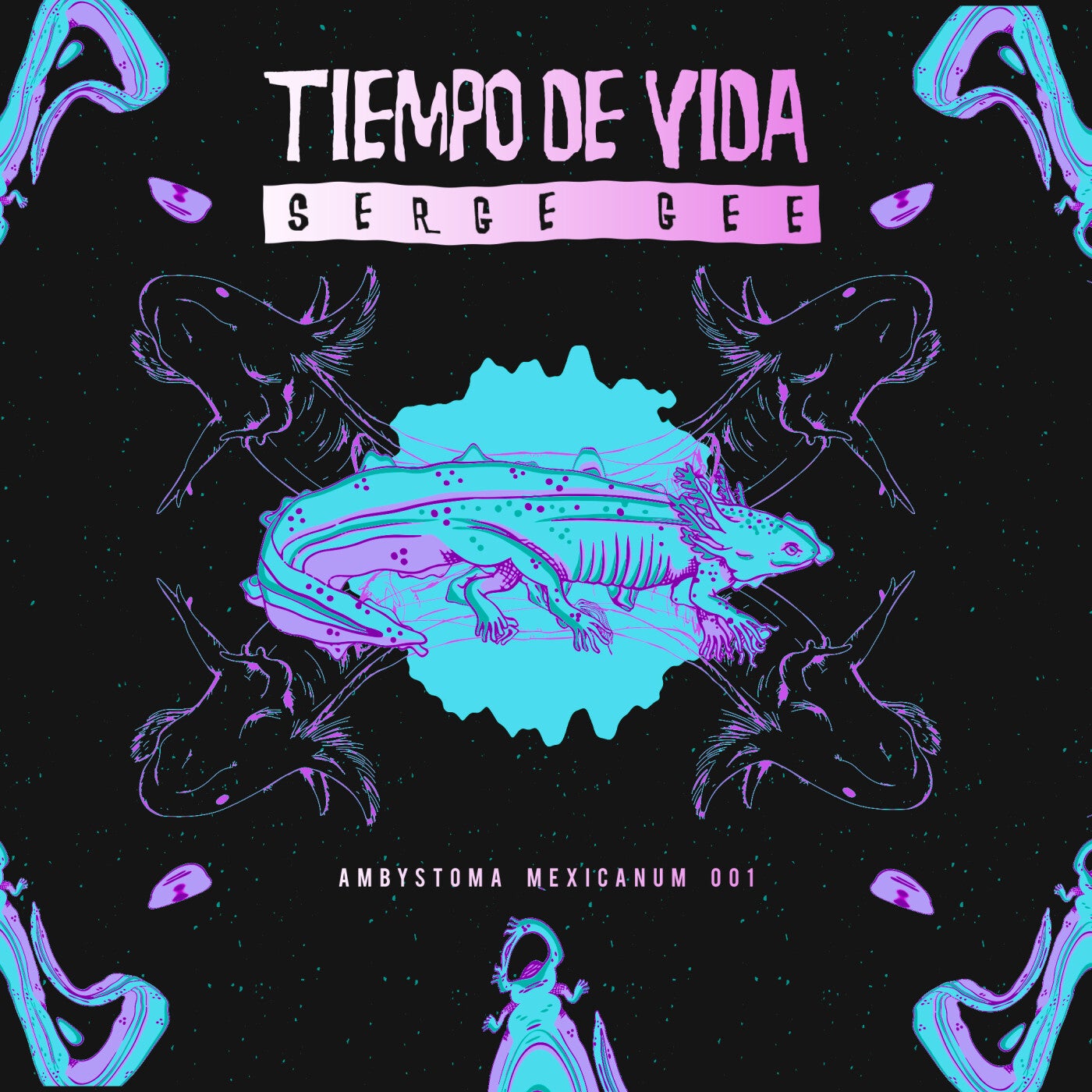 Tiempo De Vida