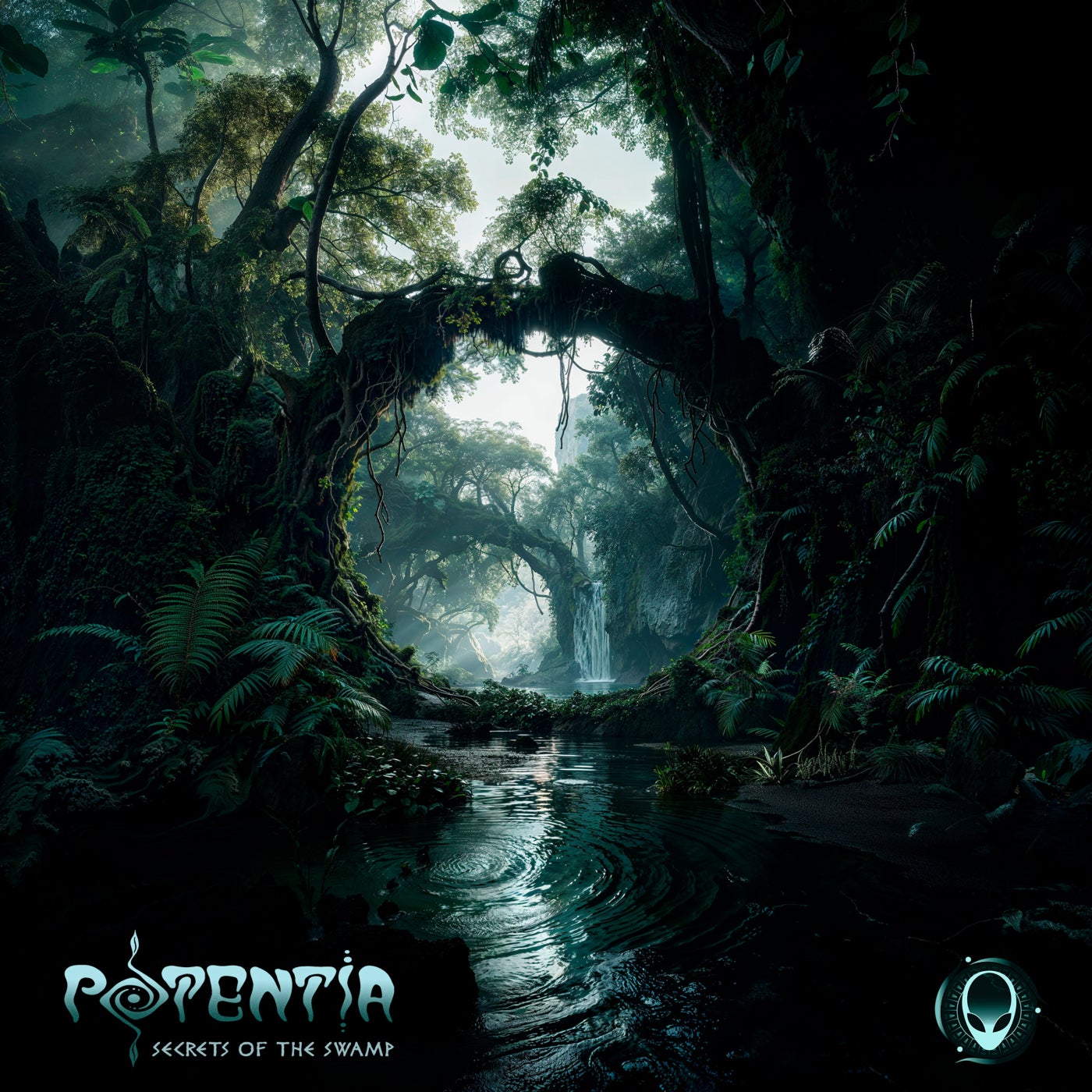 Secrets of the Swamp