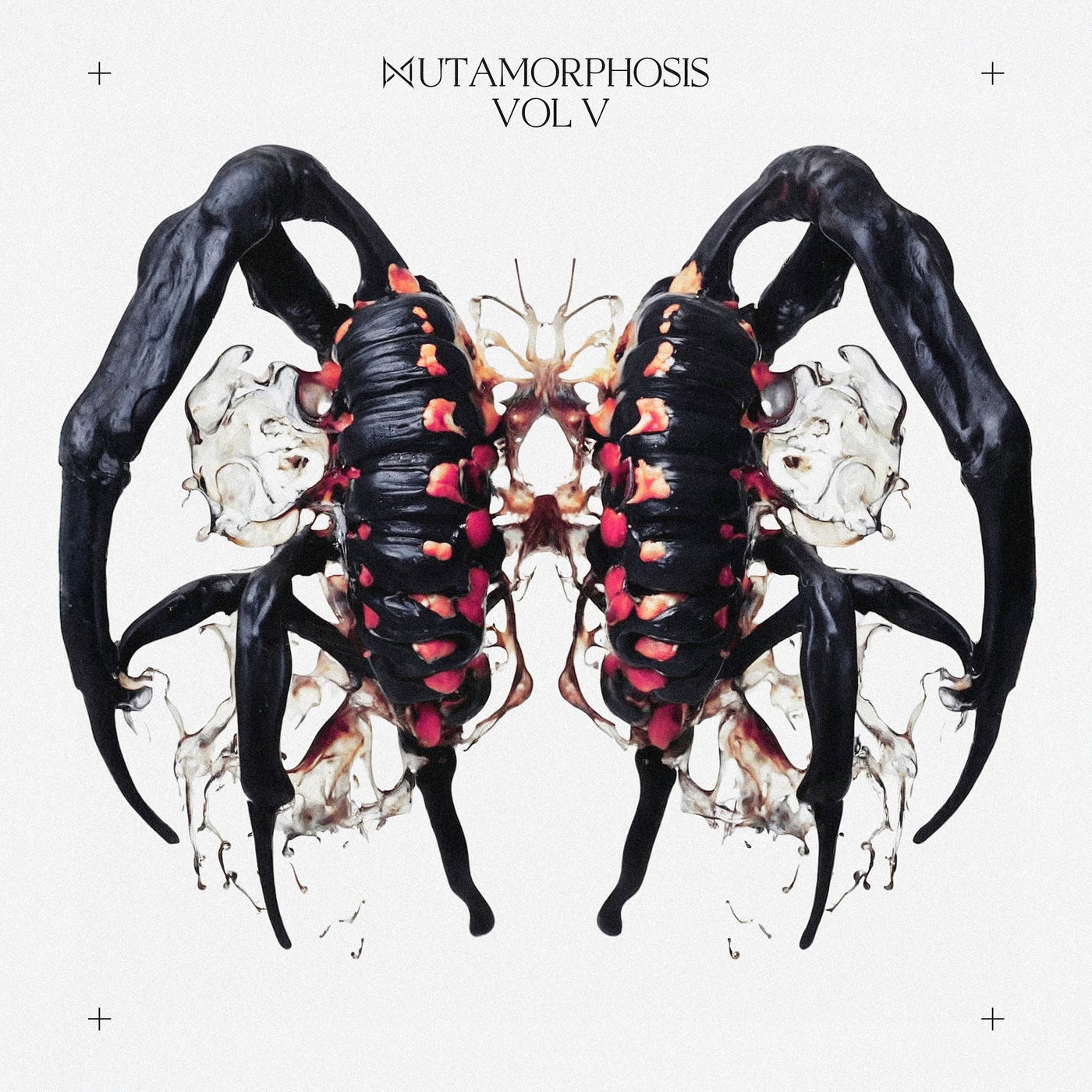 MUTAMORPHOSIS, Vol. 5