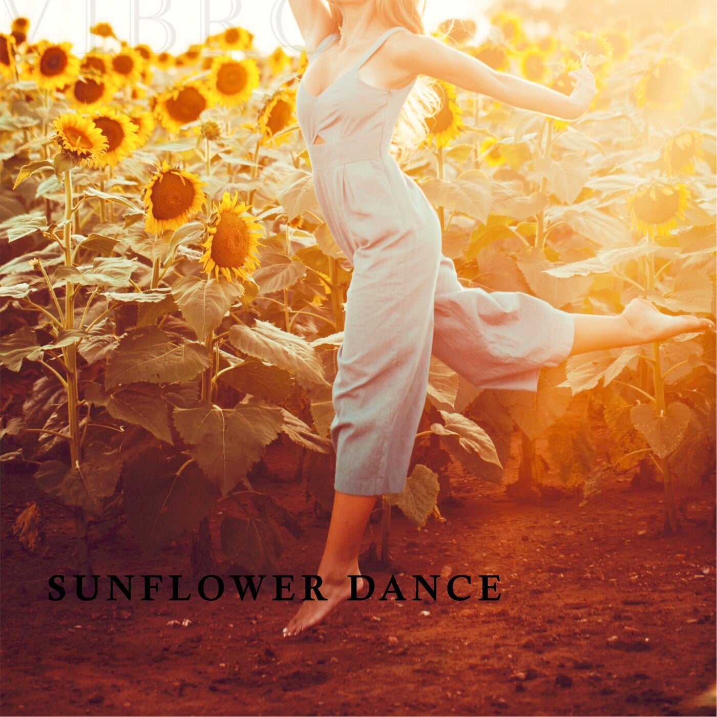 Sunflower Dance