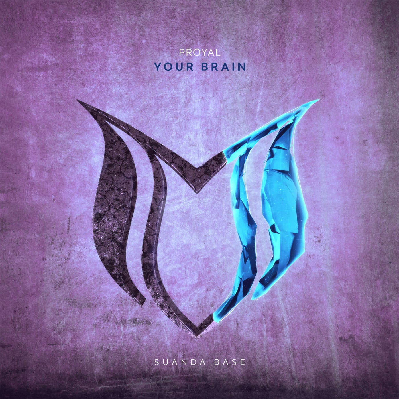 Your Brain