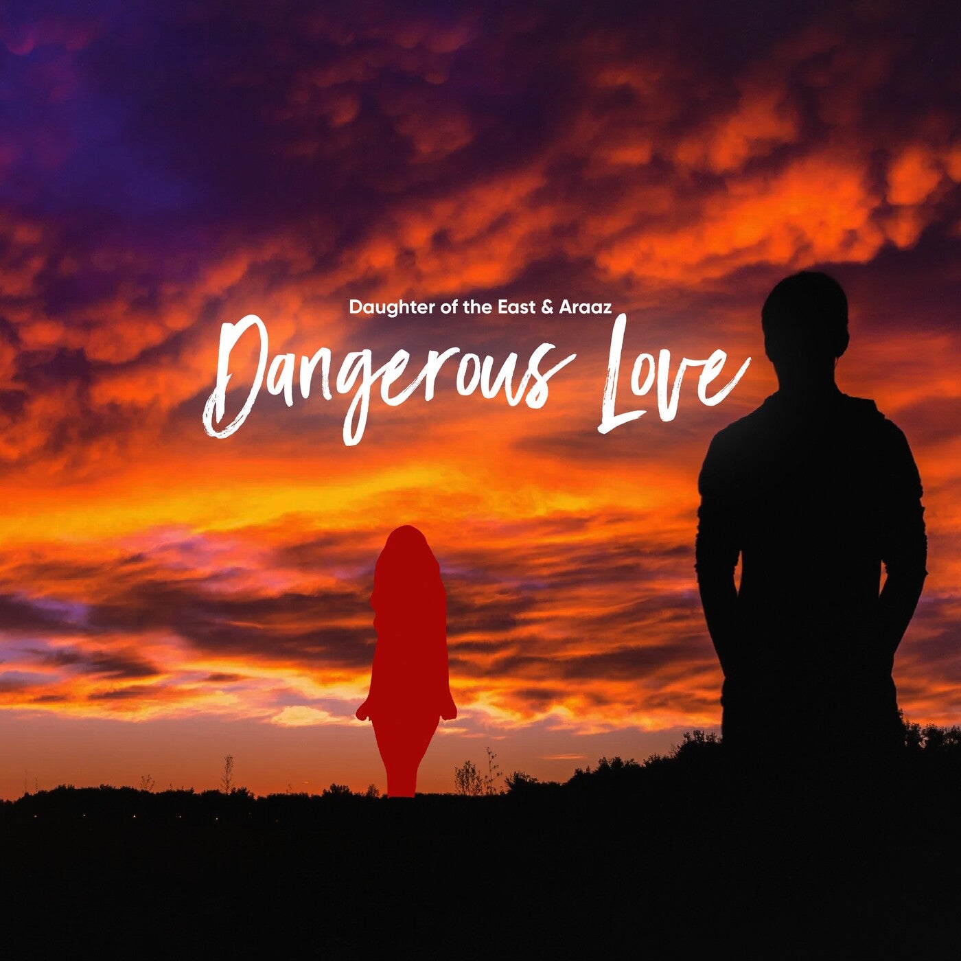 Dangerous Love