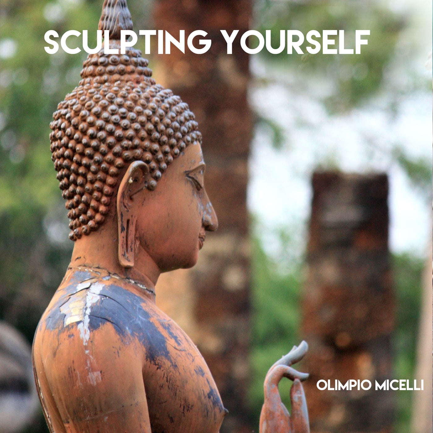 Sculpting Yourself