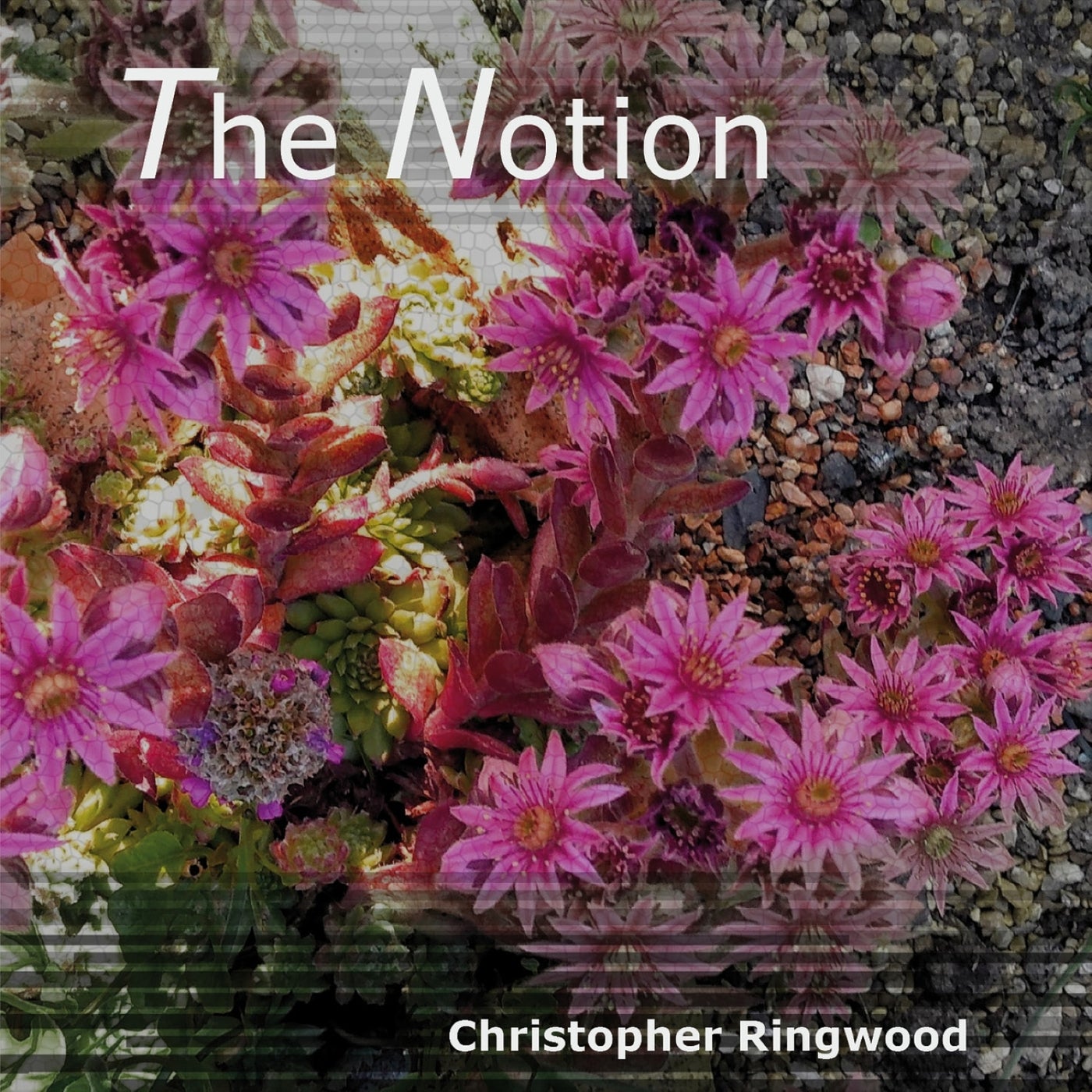 The Notion