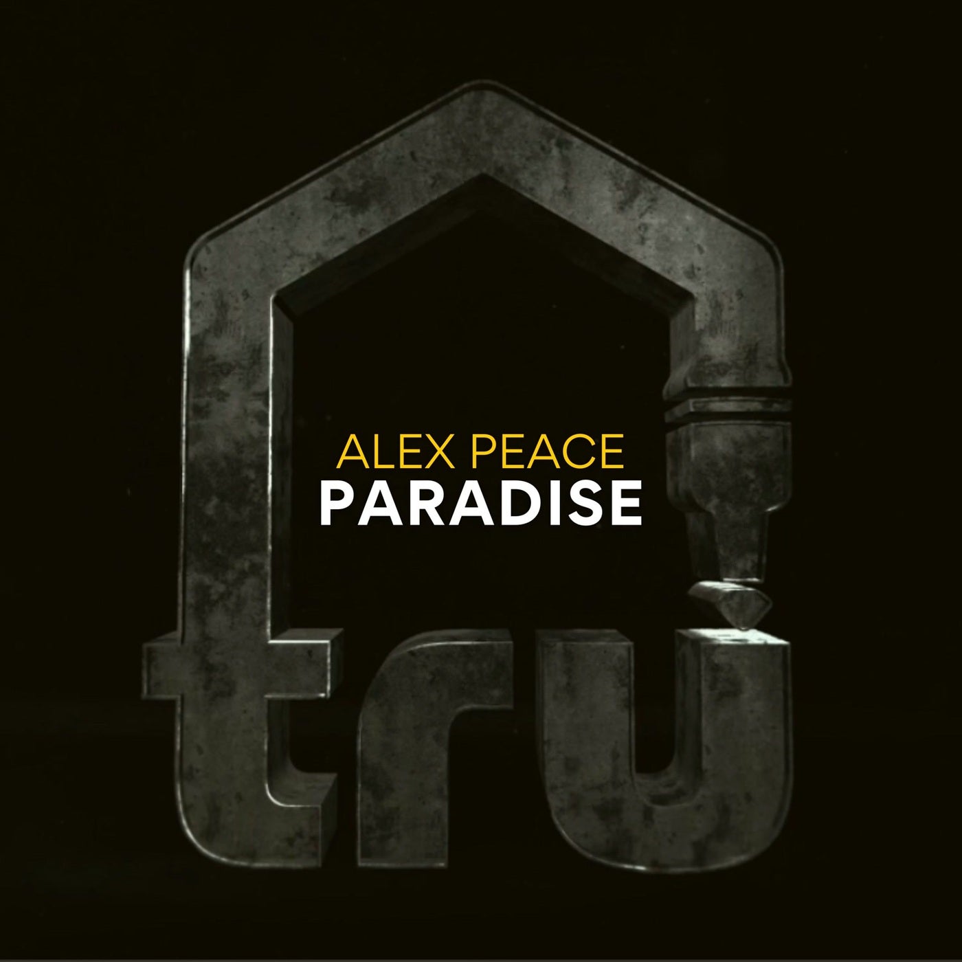 Cover art for Paradise