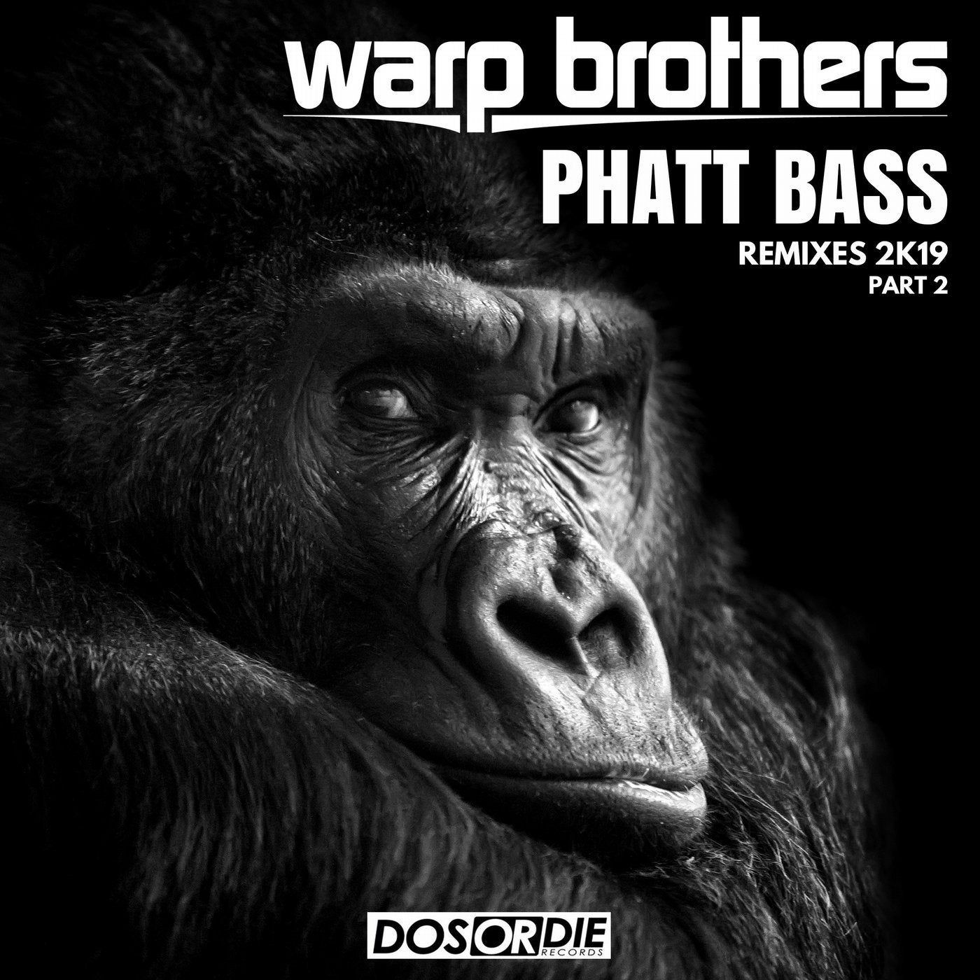 Phatt Bass Remixes, Pt. 2