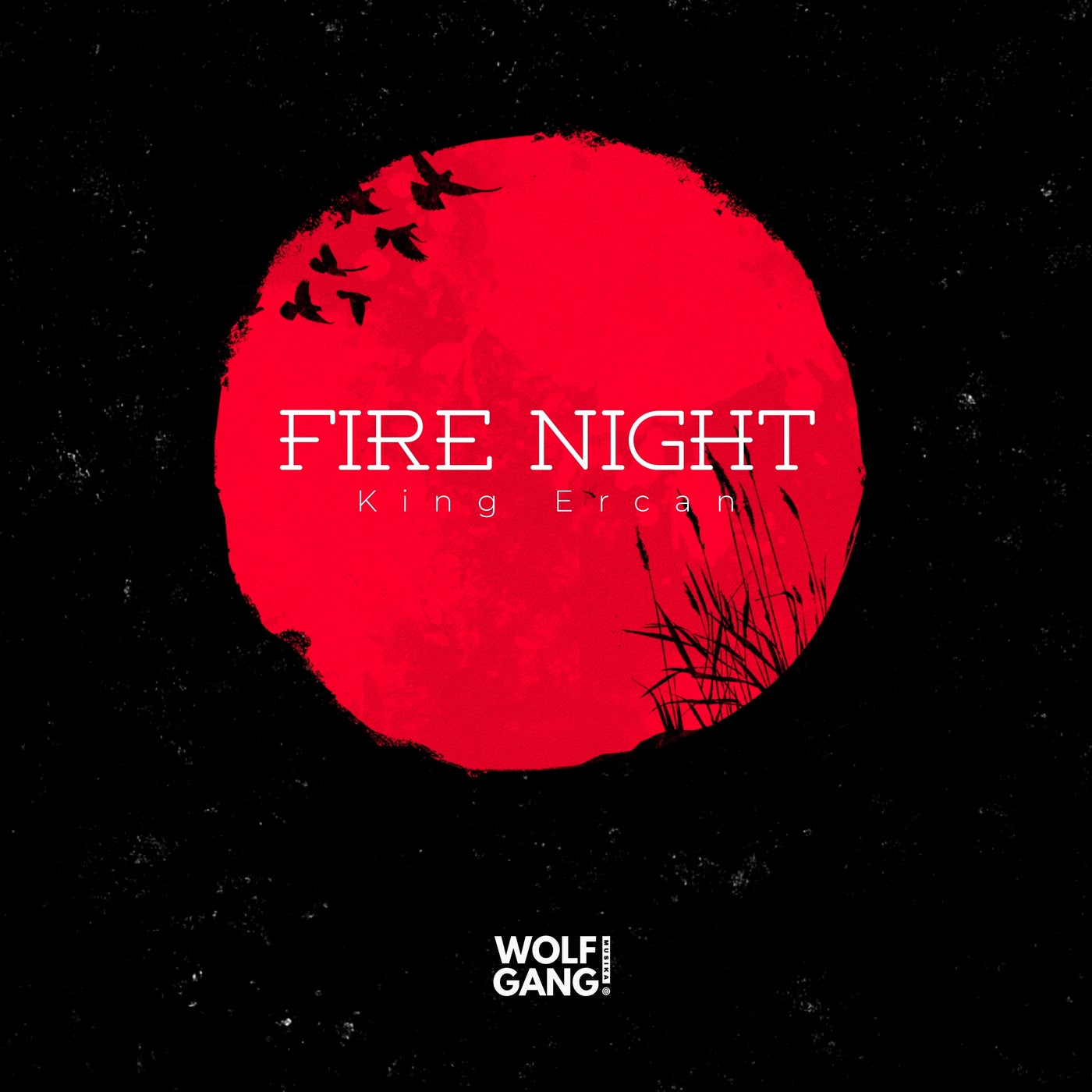 Fire Night