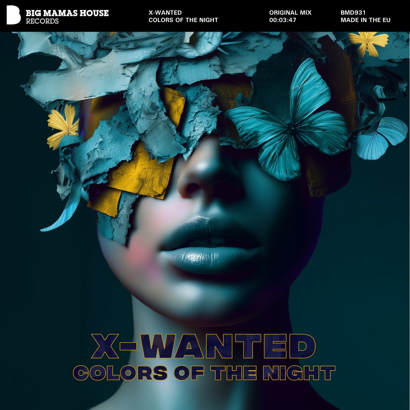 Colors of the Night