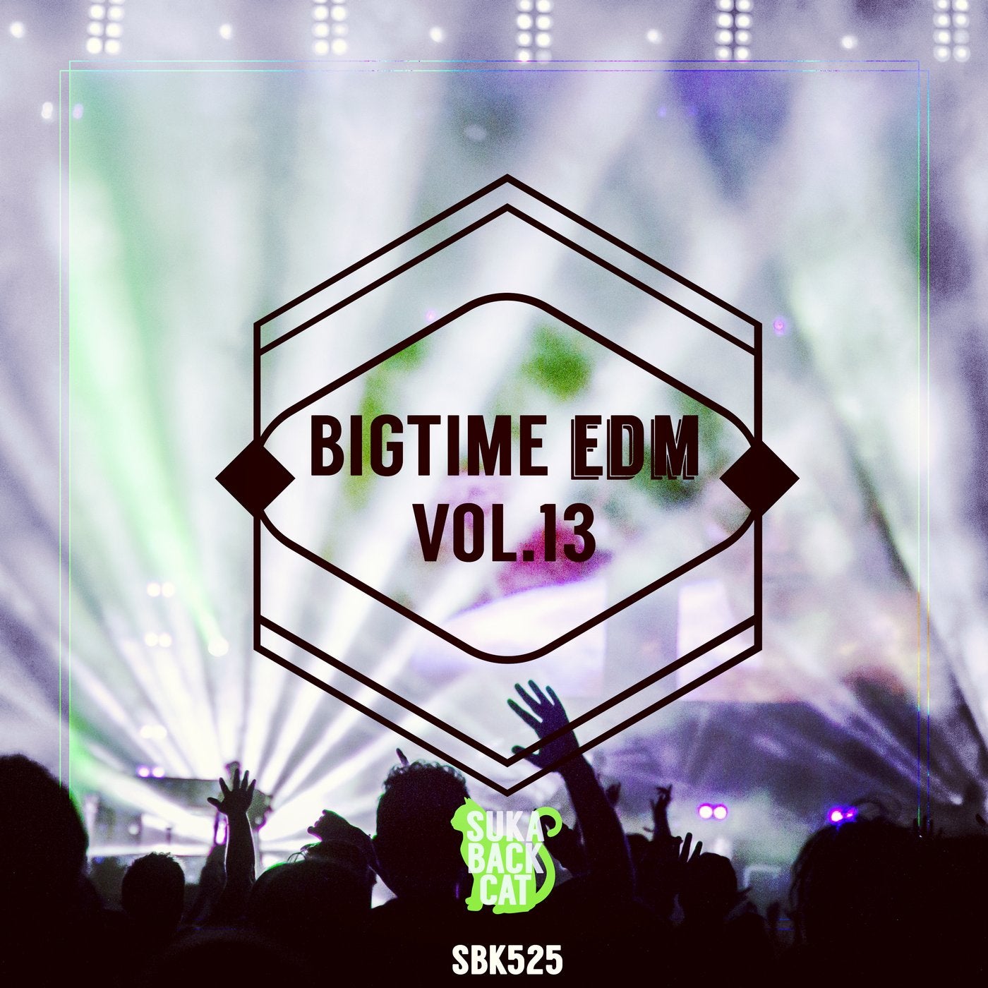 Bigtime EDM, Vol. 13