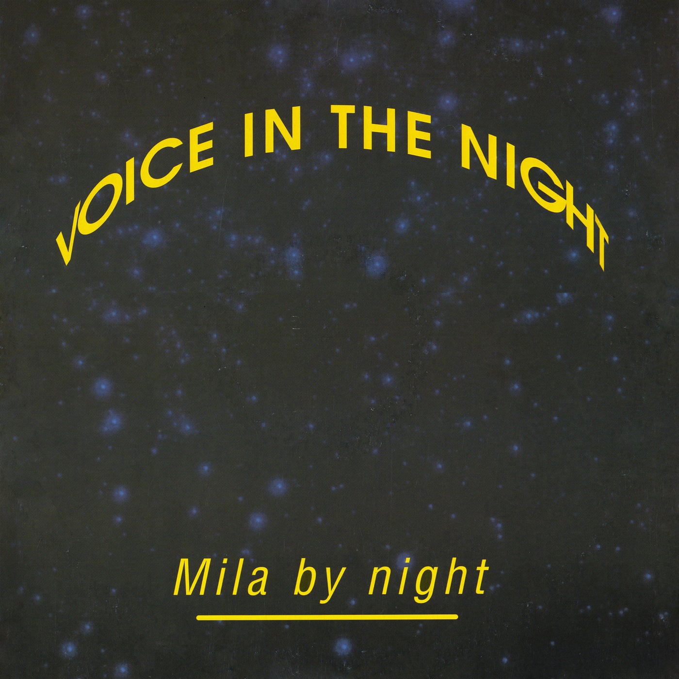 Voice In The Night