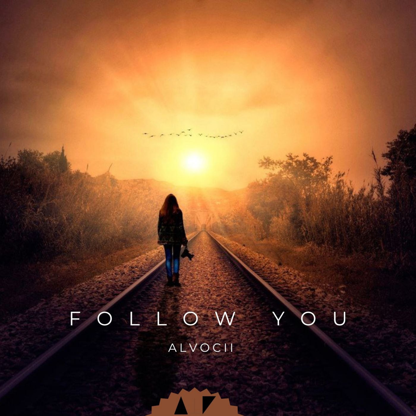 Follow You