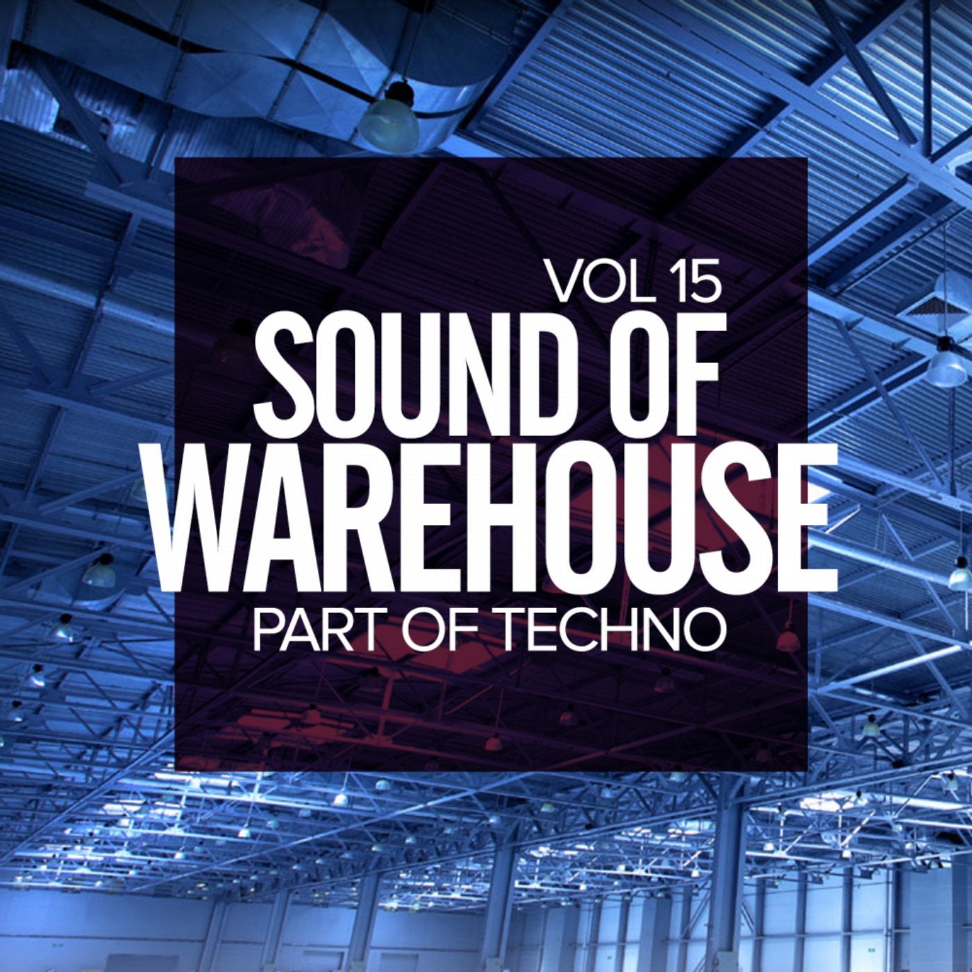 Sound Of Warehouse, Vol. 15: Part Of Techno