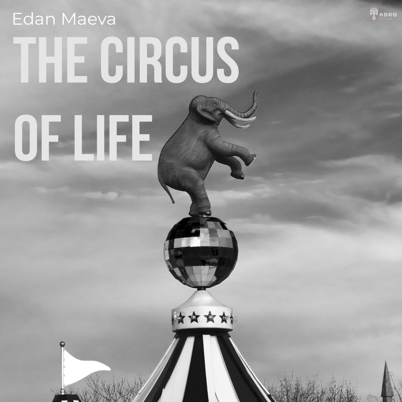 The Circus of Life