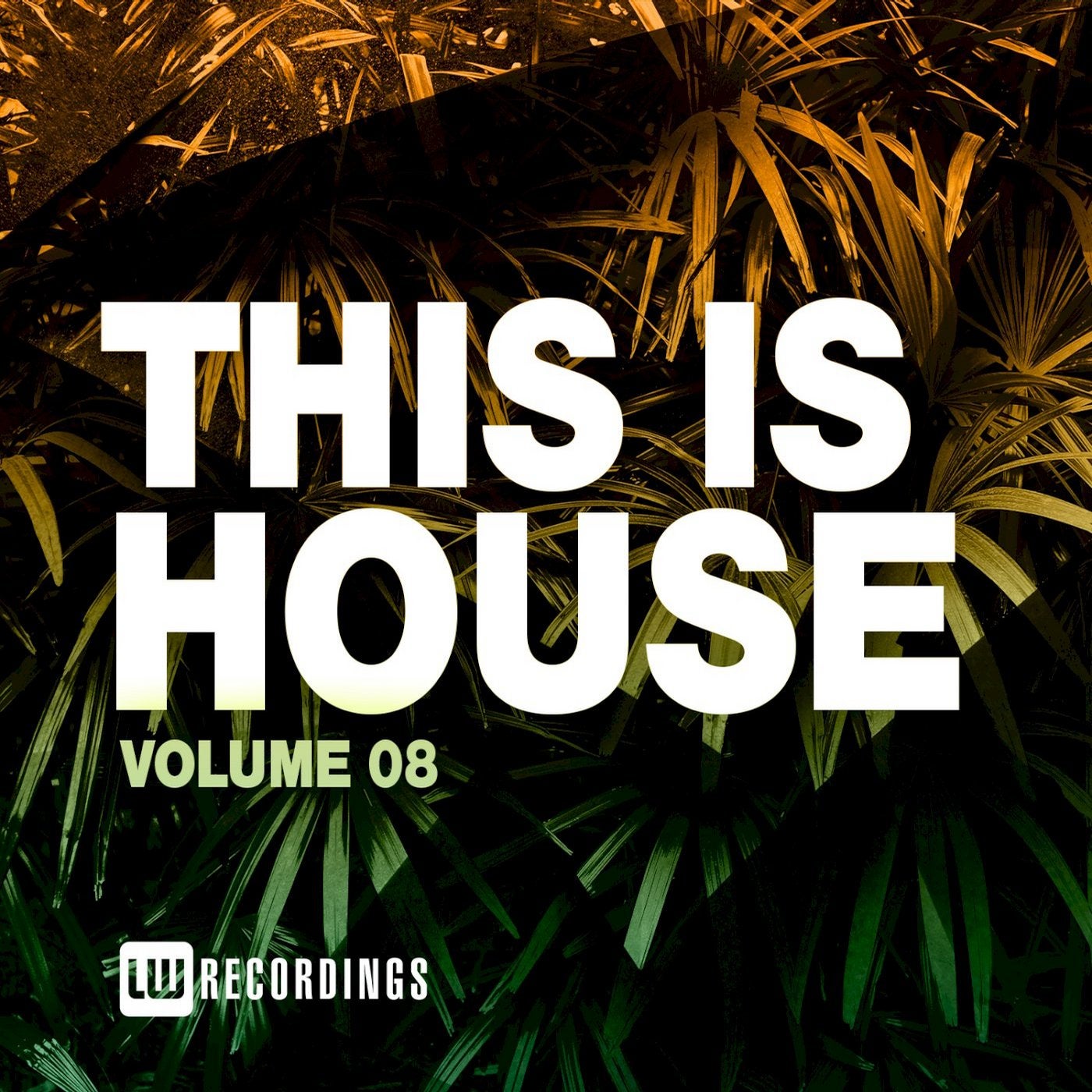 This Is House, Vol. 08