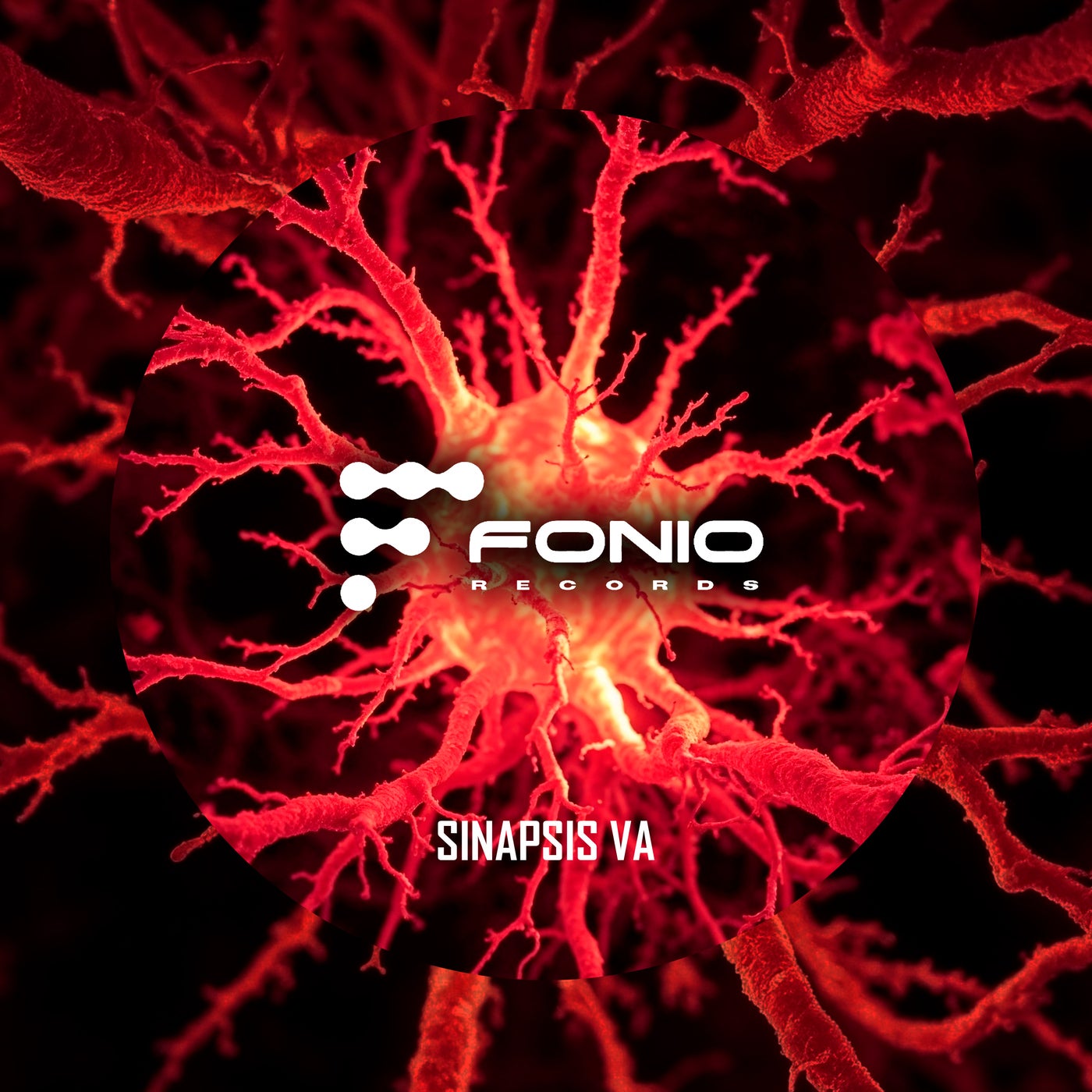 Sinapsis VA