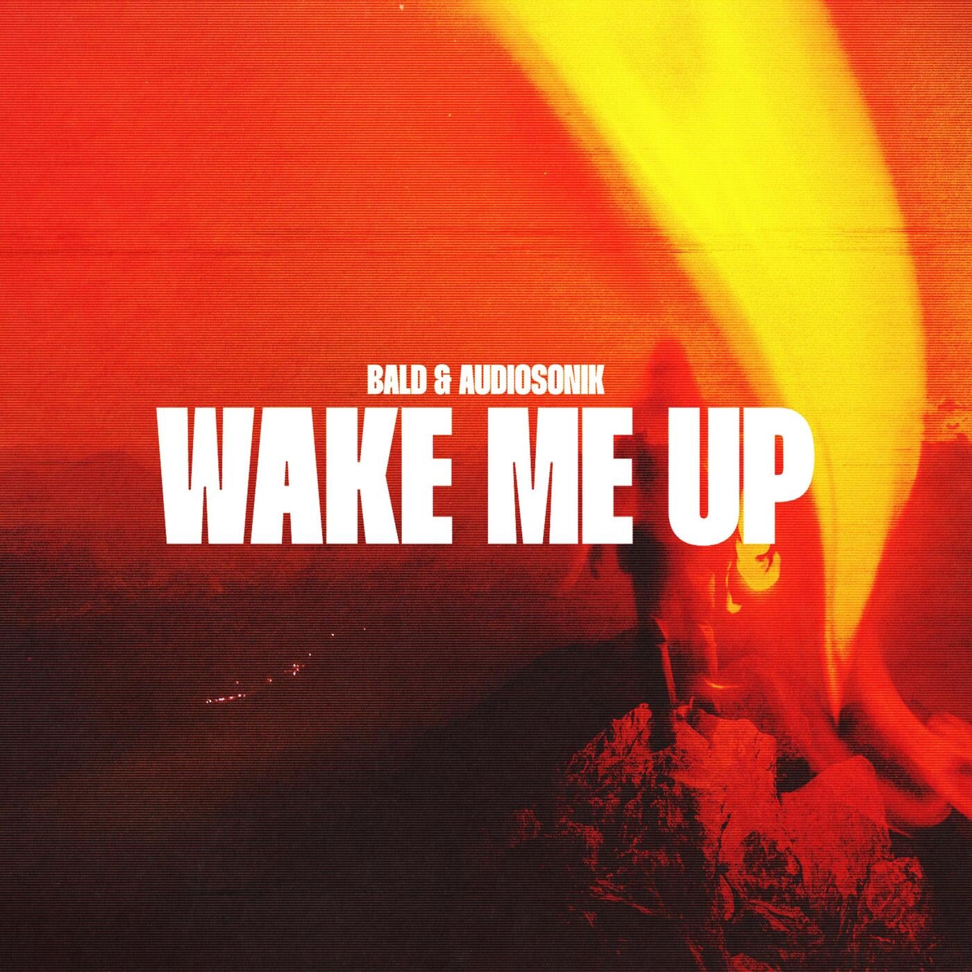 Wake Me Up