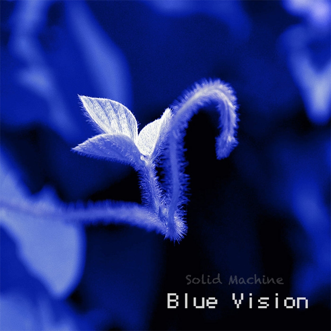 Blue Vision