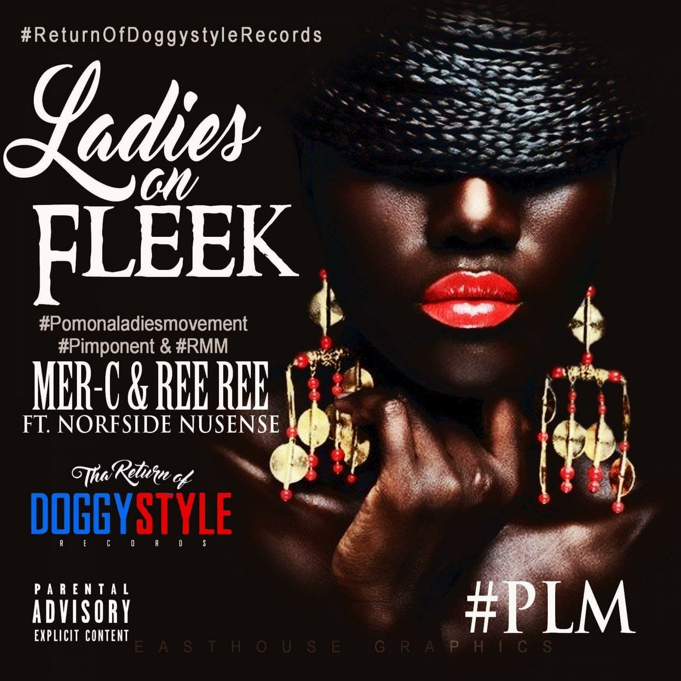 Ladies On Fleek (feat. Norfside Nusense) - Single