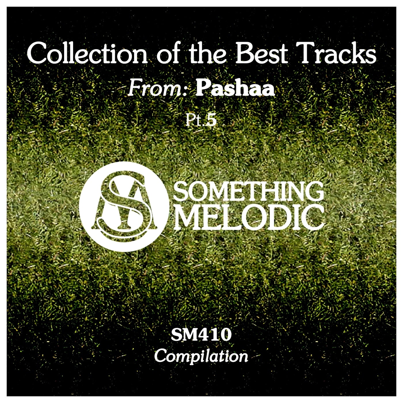 Collection of the Best Tracks From: Pashaa, Pt. 5