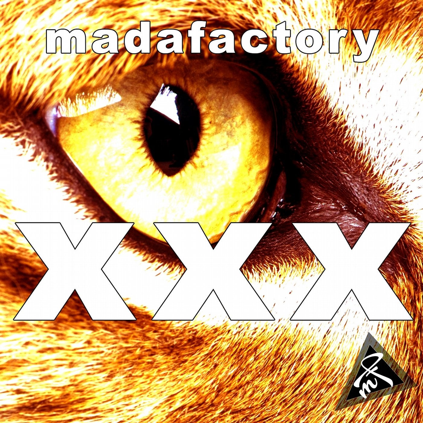 Madafactory XXX