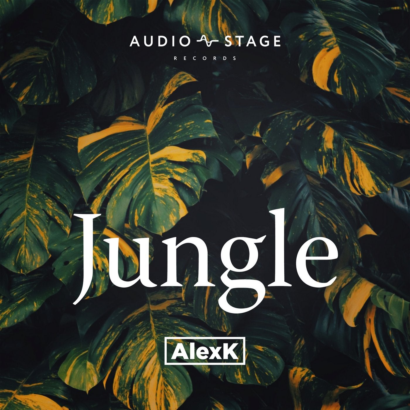 Jungle