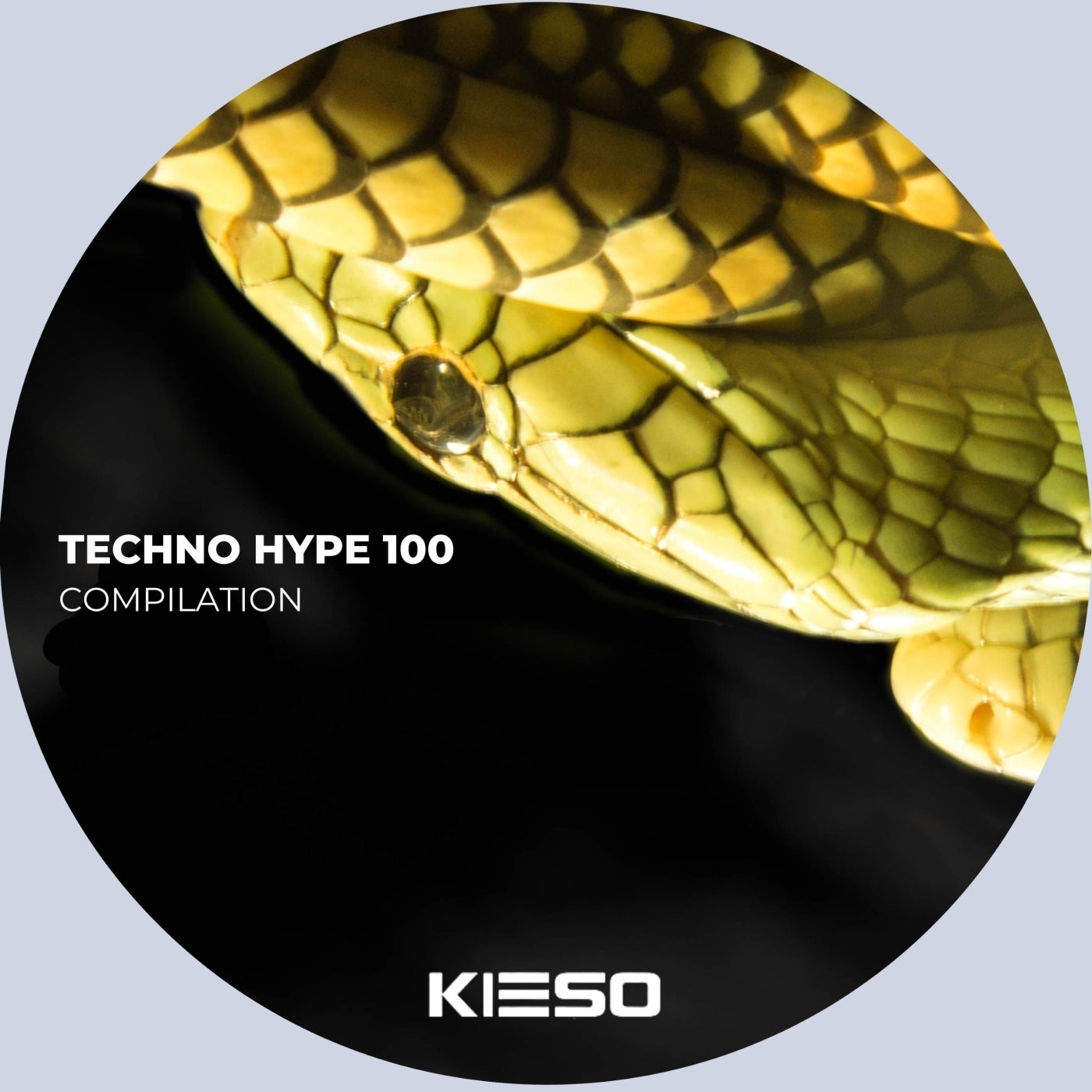 Techno Hype 100