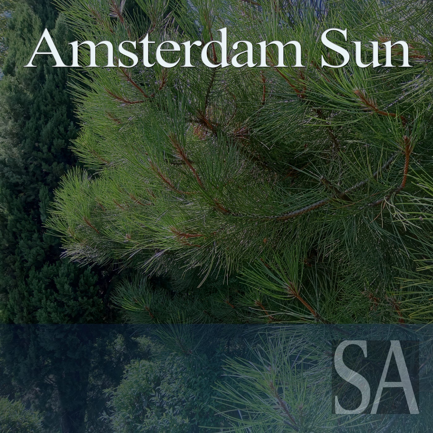 Amsterdam Sun