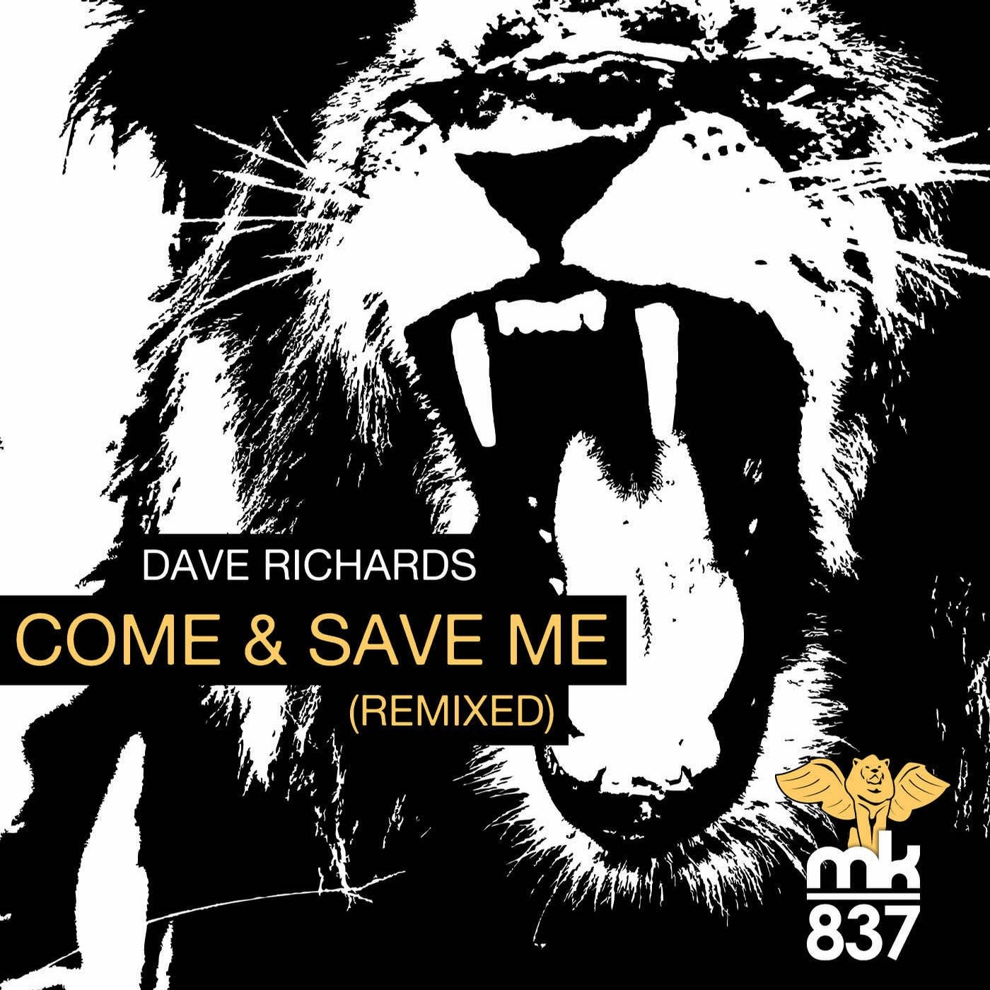 Come and Save Me Remixed