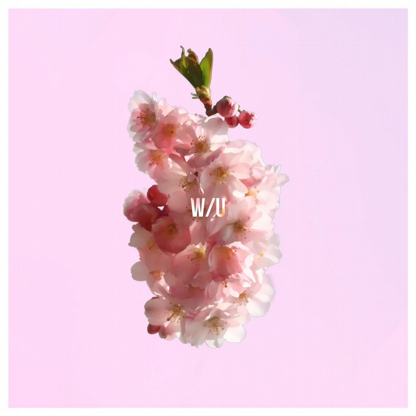 w/u