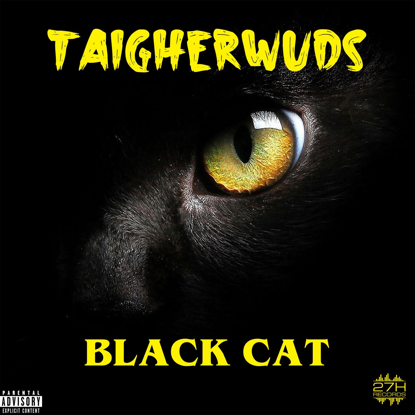 Black Cat