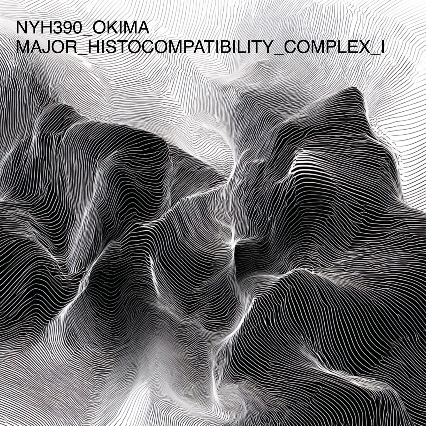 Cover art for Major Histocompatibility Complex I