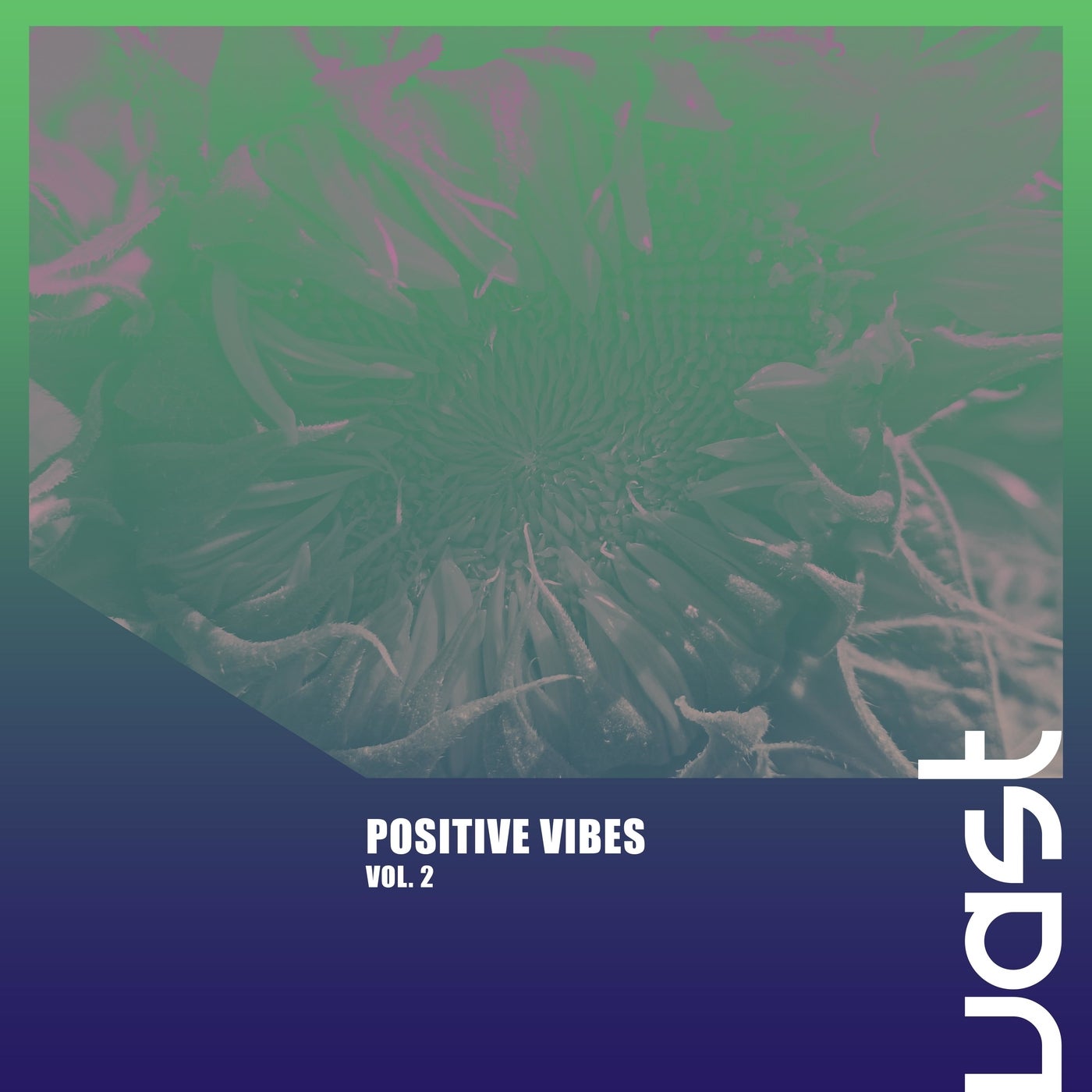 Positive Vibes, Vol. 2