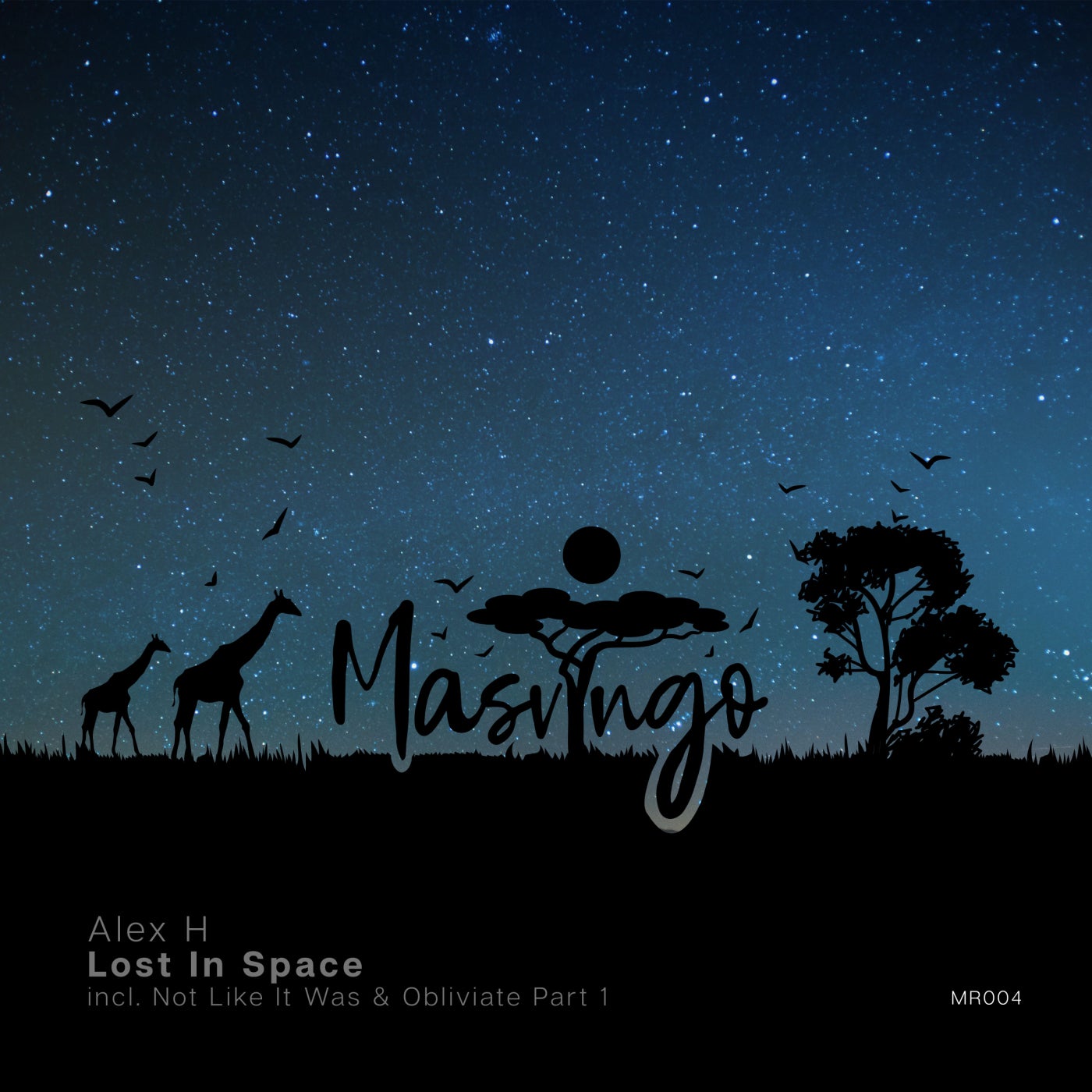 Lost in Space