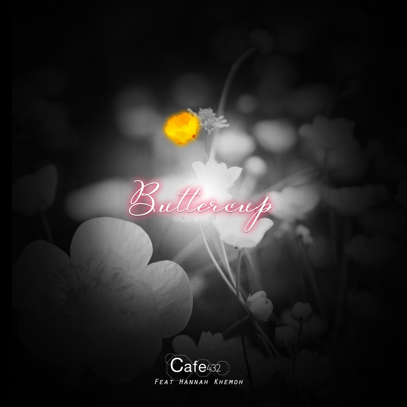 Buttercup